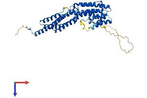 AlphaFold protein structure predicition of Human Recombinant EXOC3L2 Protein, UniprotID Q2M3D2