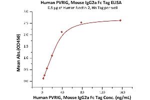 Immobilized Human Nectin-2, His Tag (ABIN4949132,ABIN4949133) at 5 μg/mL (100 μL/well) can bind Human PVRIG, Mouse IgG2a Fc Tag (ABIN6973208) with a linear range of 2-39 ng/mL (QC tested).