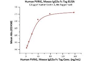 Immobilized Human Nectin-2, His Tag (ABIN4949132,ABIN4949133) at 5 μg/mL (100 μL/well) can bind Human PVRIG, Mouse IgG2a Fc Tag (ABIN6973208) with a linear range of 2-39 ng/mL (QC tested). (PVRIG Protein (AA 41-171) (mFc Tag))