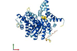 AlphaFold protein structure predicition of Mouse Recombinant Prodh2 Protein, UniprotID Q8VCZ9