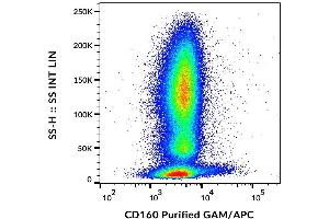 Surface staining of human peripheral blood cells with anti-CD160 (BY55) purified / GAM-APC. (CD160 anticorps)