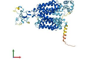 AlphaFold protein structure predicition of Human Recombinant SLC22A12 Protein, UniprotID Q96S37