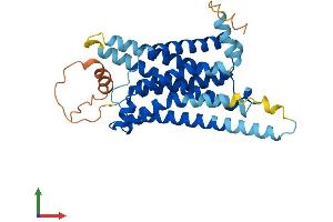AlphaFold protein structure predicition of Mouse Recombinant Mc4r Protein, UniprotID P56450