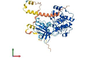 AlphaFold protein structure predicition of Human Recombinant SGK1 Protein, UniprotID O00141
