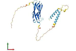 AlphaFold protein structure predicition of Mouse Recombinant Mospd3 Protein, UniprotID Q8BGG6