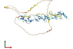 AlphaFold protein structure predicition of Mouse Recombinant Fblim1 Protein, UniprotID Q71FD7