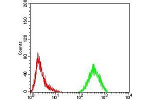 Flow cytometric analysis of HeLa cells using FOXM1 mouse mAb (green) and negative control (red). (FOXM1 anticorps  (AA 649-748))