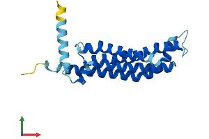 AlphaFold protein structure predicition of Human Recombinant TMEM126A Protein, UniprotID Q9H061
