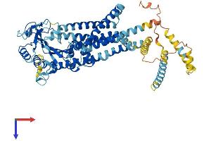 AlphaFold protein structure predicition of Human Recombinant PKD2L2 Protein, UniprotID Q9NZM6