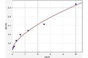 Angiopoietin 1 (ANGPT1) ELISA Kit
