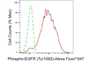 Flow cytometric analysis of Phospho-EGFR (Tyr) expression in HepG2 cells using Phospho-EGFR (Tyr) antibody (ABIN7798465), 1:2,000).