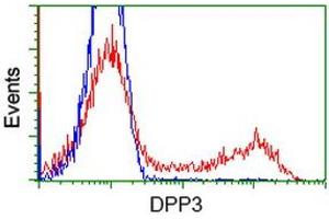 HEK293T cells transfected with either RC219658 overexpress plasmid (Red) or empty vector control plasmid (Blue) were immunostained by anti-DPP3 antibody (ABIN2454854), and then analyzed by flow cytometry. (DPP3 anticorps)