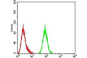 Flow cytometric analysis of Hela cells using ACTH mouse mAb (green) and negative control (red). (ACTH anticorps)