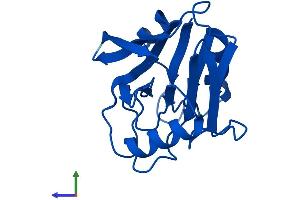 AlphaFold protein structure predicition of Human Recombinant VPS29 Protein, UniprotID Q9UBQ0