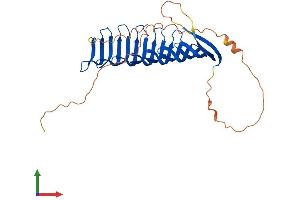 AlphaFold protein structure predicition of Human Recombinant RSPH1 Protein, UniprotID Q8WYR4