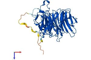 AlphaFold protein structure predicition of Mouse Recombinant Rae1 Protein, UniprotID Q8C570