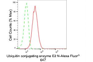 Flow cytometric analysis of Ubiquitin conjugating enzyme E2 N expression in HT- cells using Ubiquitin conjugating enzyme E2 N antibody (ABIN7800751), 1:2,000). (Recombinant UBE2N anticorps)