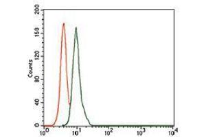 Flow cytometric analysis of A549 cells using SCGB1A1 mouse mAb (green) and negative control (red).