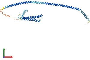 AlphaFold protein structure predicition of Mouse Recombinant Lztfl1 Protein, UniprotID Q9JHQ5