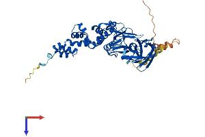 AlphaFold protein structure predicition of Human Recombinant FBXO3 Protein, UniprotID Q9UK99