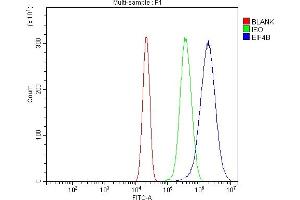 Flow Cytometry analysis of U20S cells using anti-EIF4B antibody (ABIN7599496).