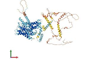 AlphaFold protein structure predicition of Human Recombinant SLC9A3 Protein, UniprotID P48764