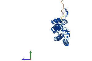 AlphaFold protein structure predicition of Mouse Recombinant Gins2 Protein, UniprotID Q9D600