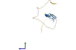 AlphaFold protein structure predicition of Mouse Recombinant Susd3 Protein, UniprotID Q9D176