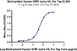 Immobilized Human CD47, hFc Tag at 1 μg/mL (100 μL/Well) on the plate.