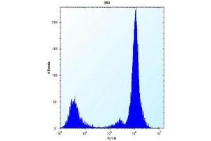 anti-MOB1, Mps One Binder Kinase Activator-Like 1B (MOBKL1B) (AA 4-33), (N-Term) antibody