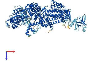 AlphaFold protein structure predicition of Human Recombinant LARS1 Protein, UniprotID Q9P2J5