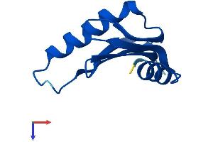 AlphaFold protein structure predicition of Human Recombinant LAMTOR5 Protein, UniprotID O43504