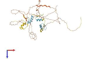 AlphaFold protein structure predicition of Mouse Recombinant Sp7 Protein, UniprotID Q8VI67