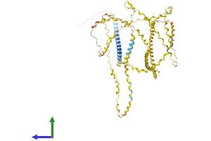 AlphaFold protein structure predicition of Mouse Recombinant Col23a1 Protein, UniprotID Q8K4G2