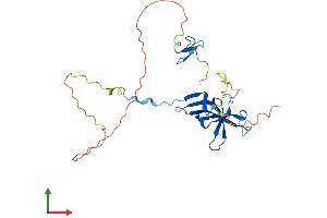 AlphaFold protein structure predicition of Human Recombinant GATAD1 Protein, UniprotID Q8WUU5