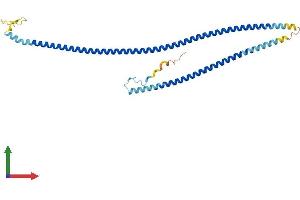 AlphaFold protein structure predicition of Mouse Recombinant Gm136 Protein, UniprotID Q3V037