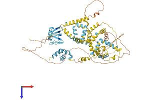 AlphaFold protein structure predicition of Human Recombinant UBQLN4 Protein, UniprotID Q9NRR5
