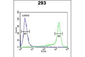 Flow cytometric analysis of 293 cells (right histogram) compared to a negative control cell (left histogram). (Peroxiredoxin 6 anticorps  (AA 103-132))