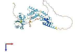 AlphaFold protein structure predicition of Human Recombinant PNMA5 Protein, UniprotID Q96PV4