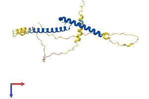 AlphaFold protein structure predicition of Mouse Recombinant Bhlhe23 Protein, UniprotID Q8BGW3