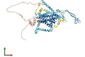 AlphaFold protein structure predicition of Mouse Recombinant Slc34a2 Protein, UniprotID Q9DBP0