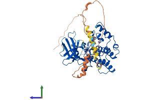 AlphaFold protein structure predicition of Mouse Recombinant Csnk1e Protein, UniprotID Q9JMK2