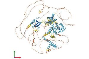 AlphaFold protein structure predicition of Mouse Recombinant Cnksr2 Protein, UniprotID Q80YA9