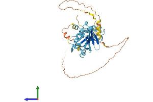 AlphaFold protein structure predicition of Mouse Recombinant Ubfd1 Protein, UniprotID Q78JW9
