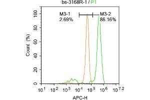 Hela cells were fixed with 4% PFA for 10min at room temperature, permeabilized with 90% ice-cold methanol for 20 min at -20℃, and incubated in 5% BSA blocking buffer for 30 min at room temperature.
