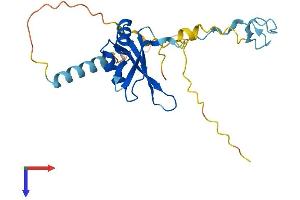 AlphaFold protein structure predicition of Human Recombinant ZCRB1 Protein, UniprotID Q8TBF4