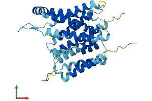 AlphaFold protein structure predicition of Mouse Recombinant Slc35b1 Protein, UniprotID P97858