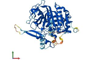 AlphaFold protein structure predicition of Mouse Recombinant Pafah2 Protein, UniprotID Q8VDG7