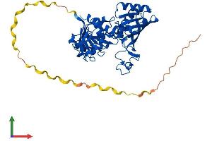 AlphaFold protein structure predicition of Human Recombinant GAPDHS Protein, UniprotID O14556