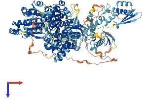 AlphaFold protein structure predicition of Mouse Recombinant Dhx30 Protein, UniprotID Q99PU8